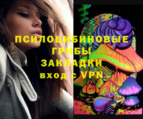 герыч Кулебаки