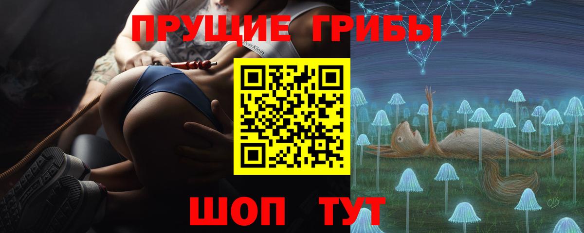 Псилоцибиновые грибы GOLDEN TEACHER  Вход с VPN  Жуковский  Псилоцибиновые грибы MAGIC MUSHROOMS 