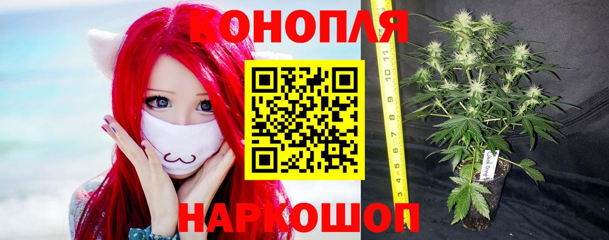 Бошки марихуана Amnesia  Бошки марихуана Amnesia  Вход с VPN  Жуковский  Канабис марихуана 