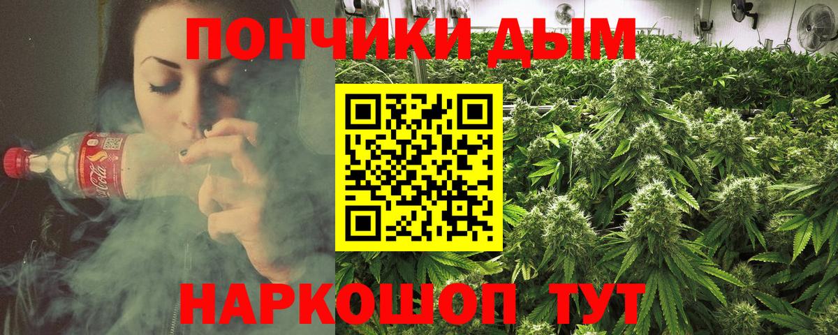 Шишки марихуана план Жуковский